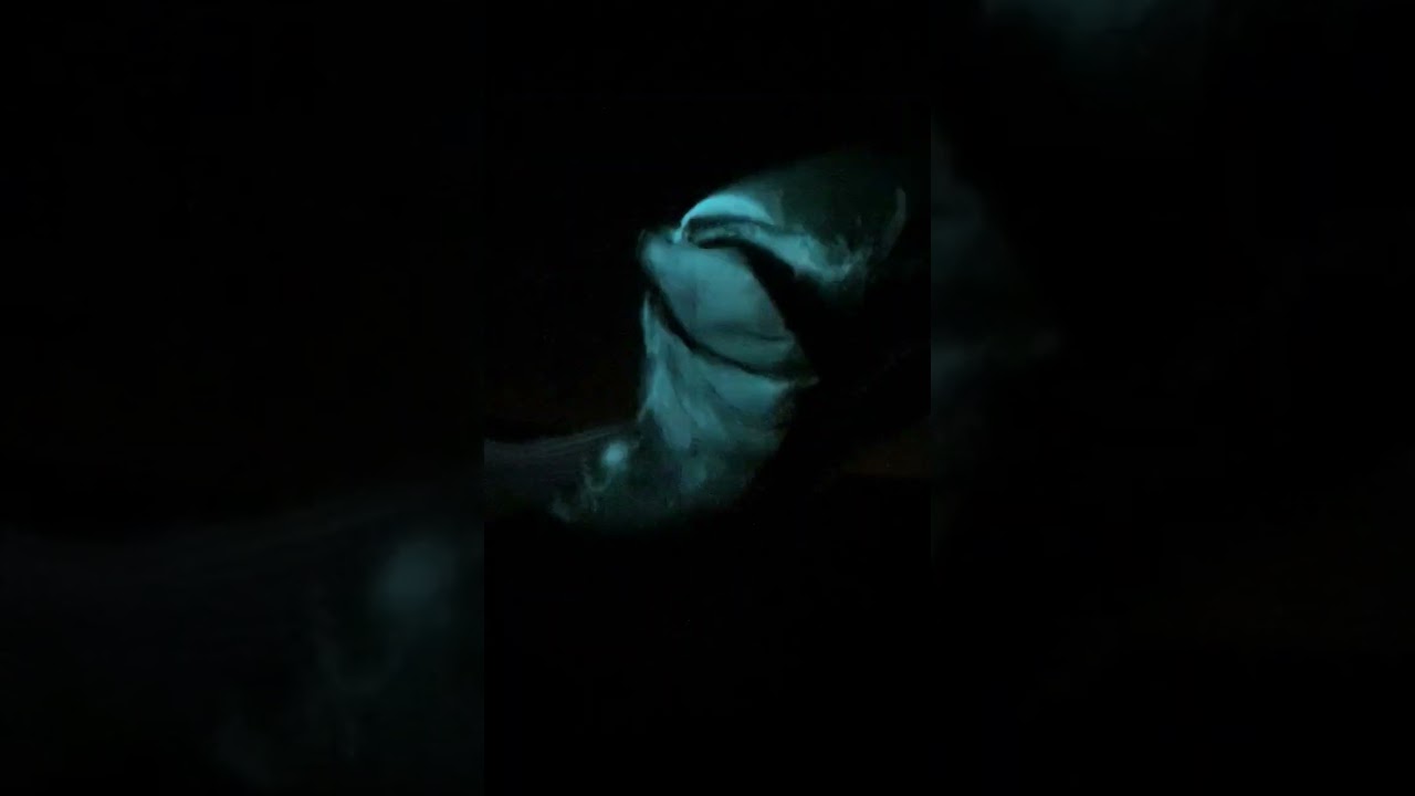 m'y silk robe s in stormy night in front of the sea !
