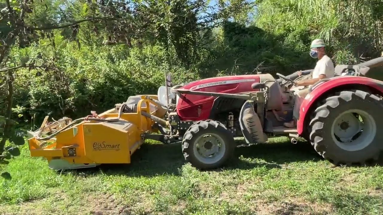 McCORMICK x3 con la raccoglinocciole Smart