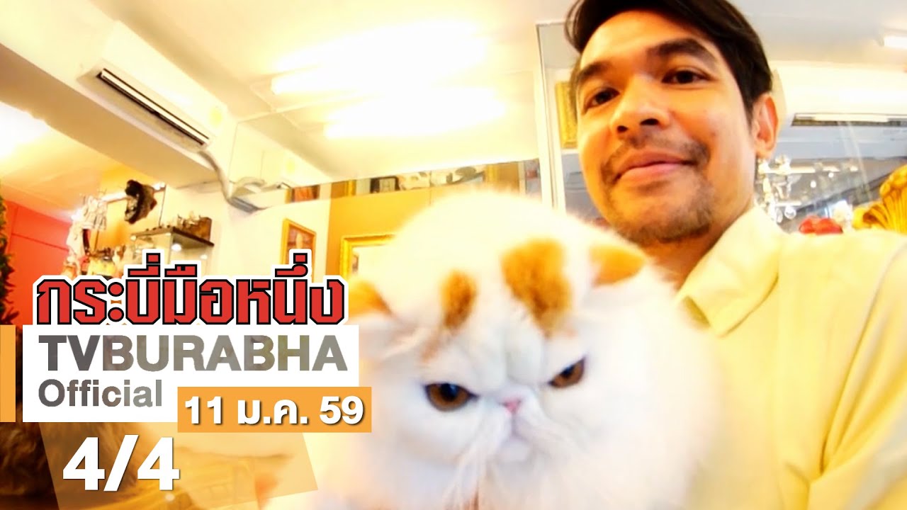 กระบี่มือหนึ่ง : โมเดลลิ่งแมว (11 ม.ค.59)