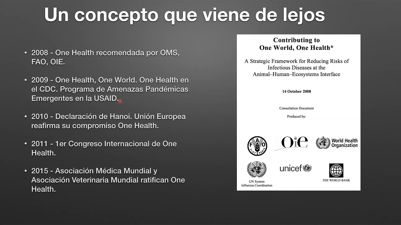 One health: una sola salud o por qué conseguir un planeta verdaderamente saludable