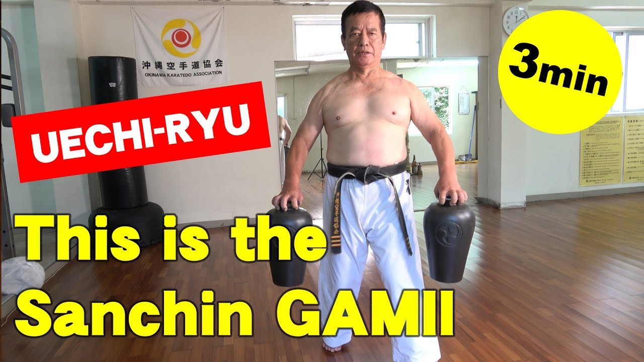 Uechi-ryu Master 