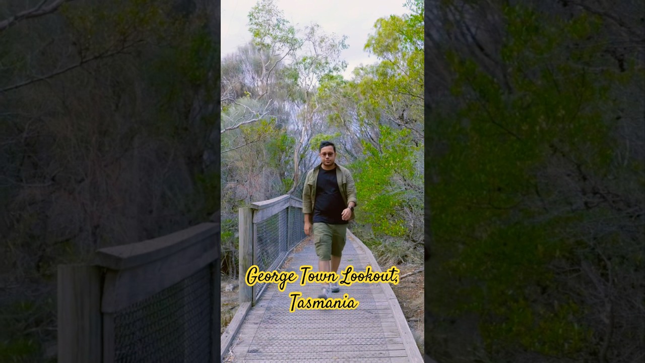 Mount George Lookout Tasmania 🇦🇺🦘🏕️ #lifeinaustralia #tasmania #naturelovers #shorts #drbookworm