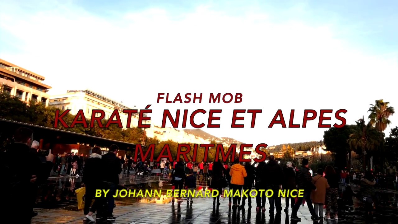 # NICE -- FLASH MOB MAKOTO NICE KARATÉ