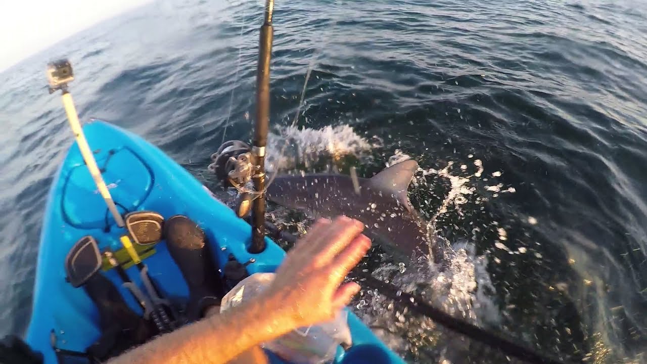 Shark Kayak Fishing Sleigh Ride. Montauk NY.