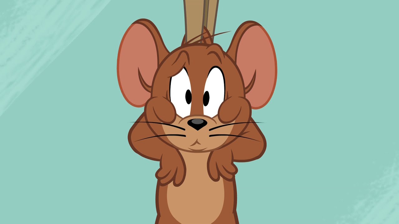 TOM VE JERRY ŞOV | Bacalar ve Merdivenler | TAM BÖLÜM | @cartoonnetworkturkiye