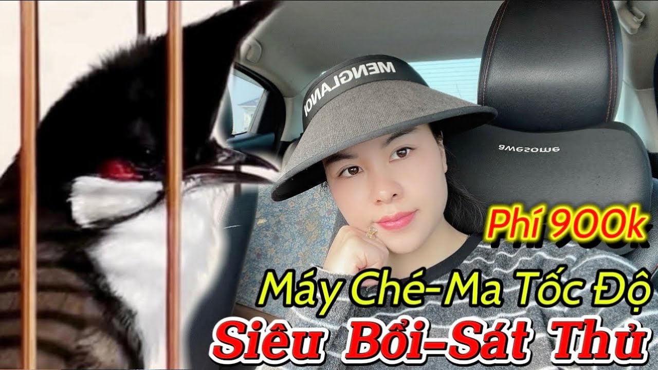 13/1 Siêu Phẩm Bổi Chúa Trùm Avi Đầu Đàn/Siêu Gấu Chó-Thần Ché Phách Chơi Cúp Cầu/Máy Lật Tốc Độ
