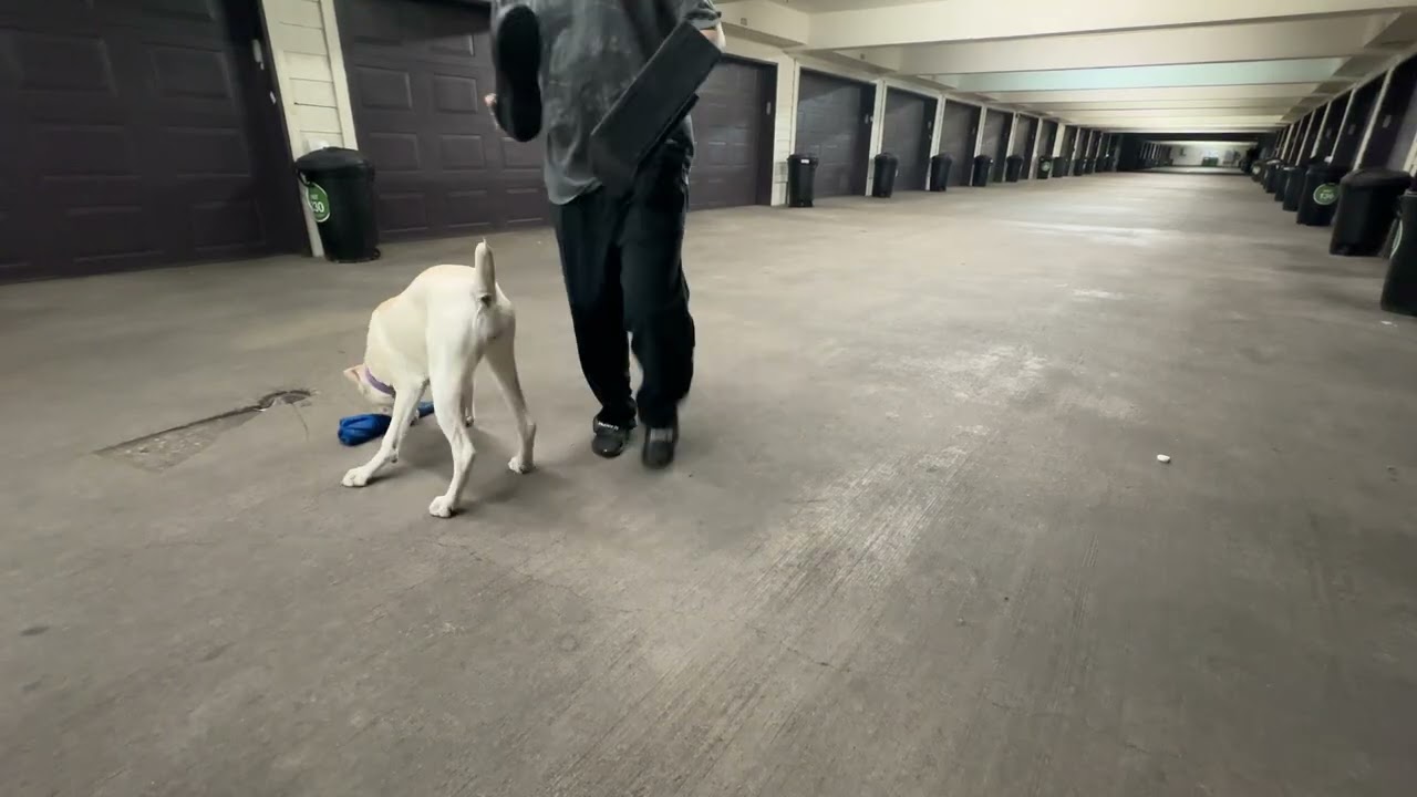 COP and Remote Directional Retrieve - Session 2