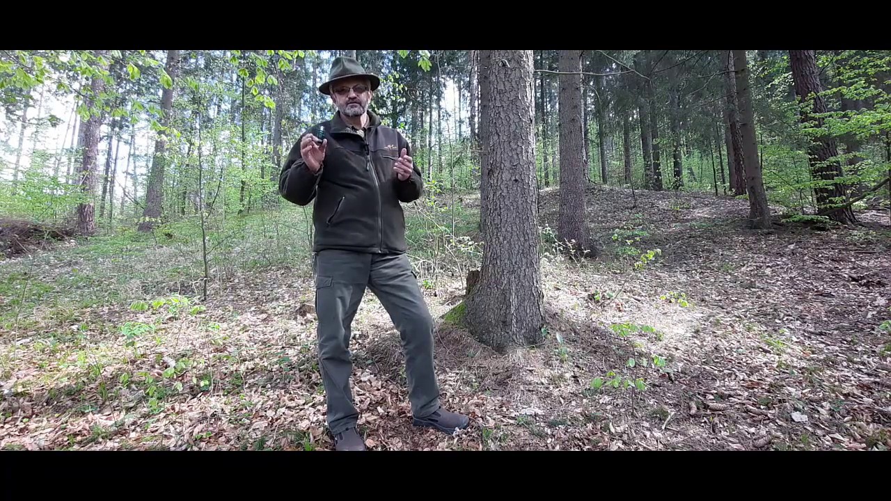 Vábnička na srnca Nordik Roe - LOVTEK, vábenie s Ing. Alojz Kaššák