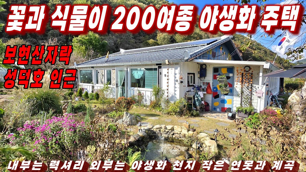 456호 야생화 만발한 식물원주택 200여종의 꽃과 나무 계곡과 호수가 있는 주택매물 력셔리 주택과 야생화 정원 넓은 텃밭 남향의 햇살과 나만의 계곡까지 힐링완벽