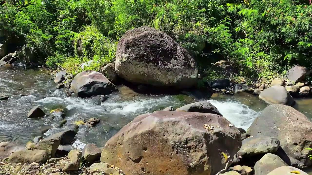 🌙 Sleep Instantly | Pure Forest Stream Water Sounds ASMR (No Talking)