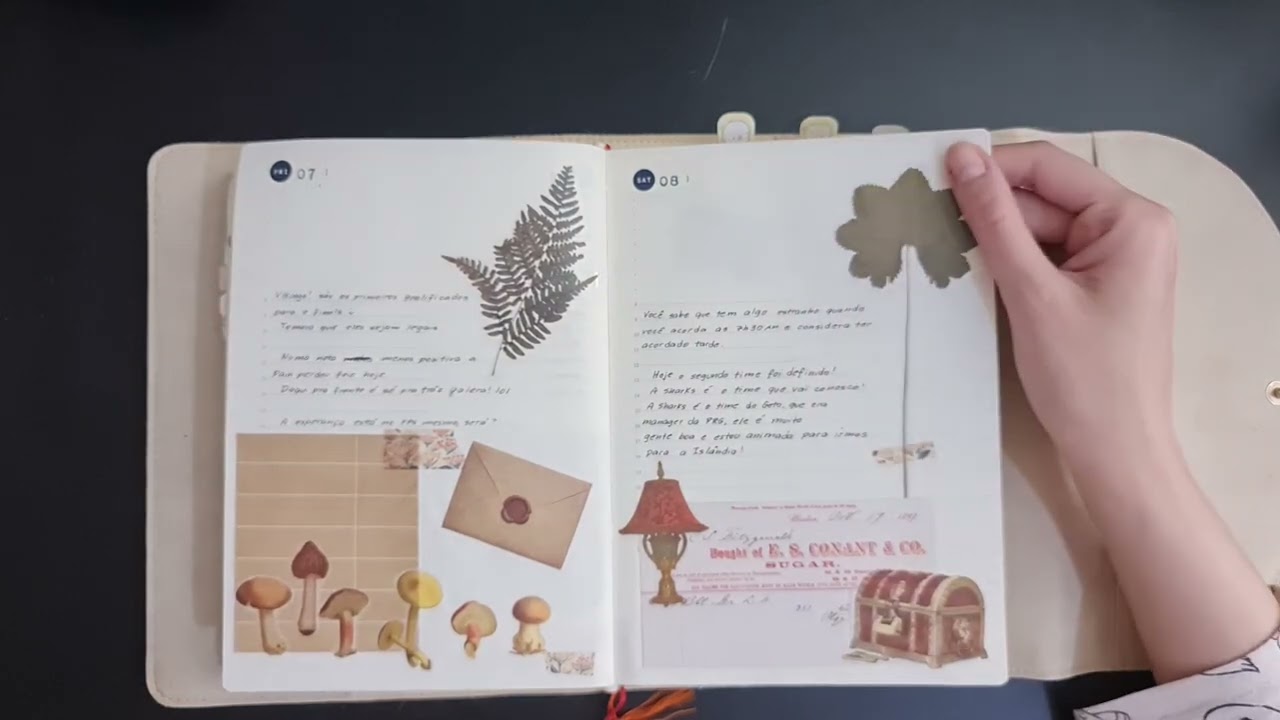 Midori MD 1 Day 1 Page A5 Full Year Flip Through