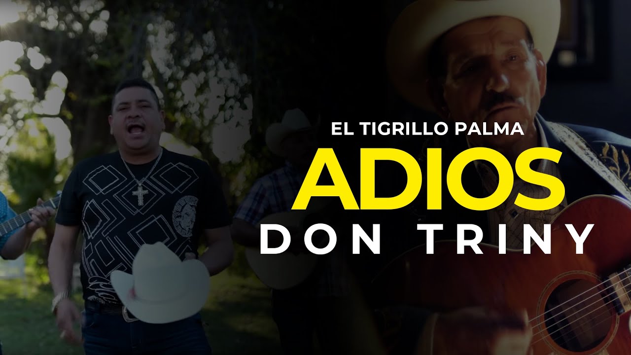 EL TIGRILLO PALMA - Adios Don Triny (ESTRENO 2020)