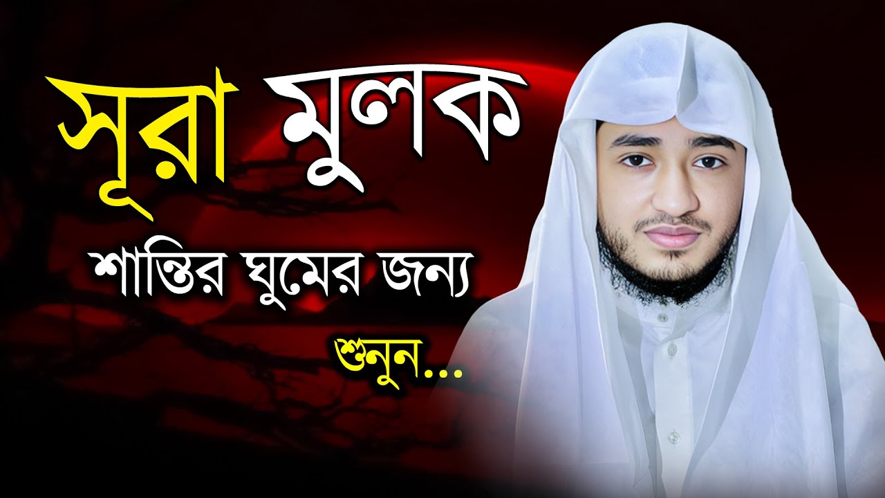 সূরা মুলক | কবরের আজাব থেকে হেফাজতের তিলাওয়াত | রাতের সেরা আমল | ক্বারী আবু রায়হান