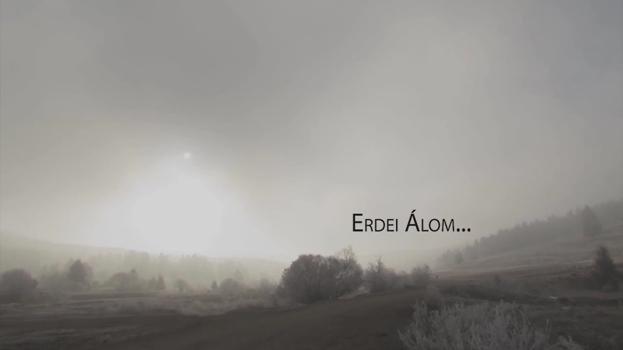 Erdei álom