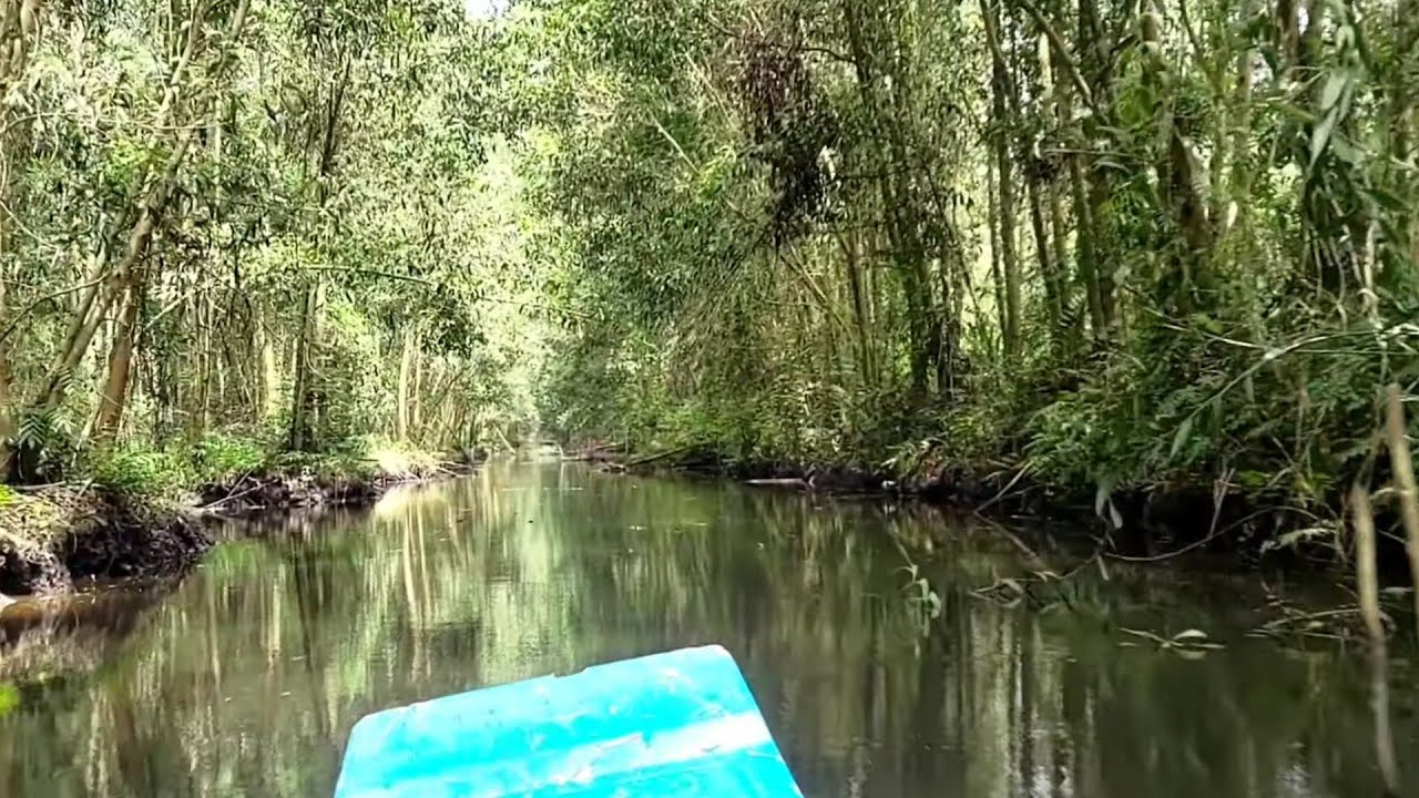 Săn bắt miền tây. Rừng Tràm U Minh