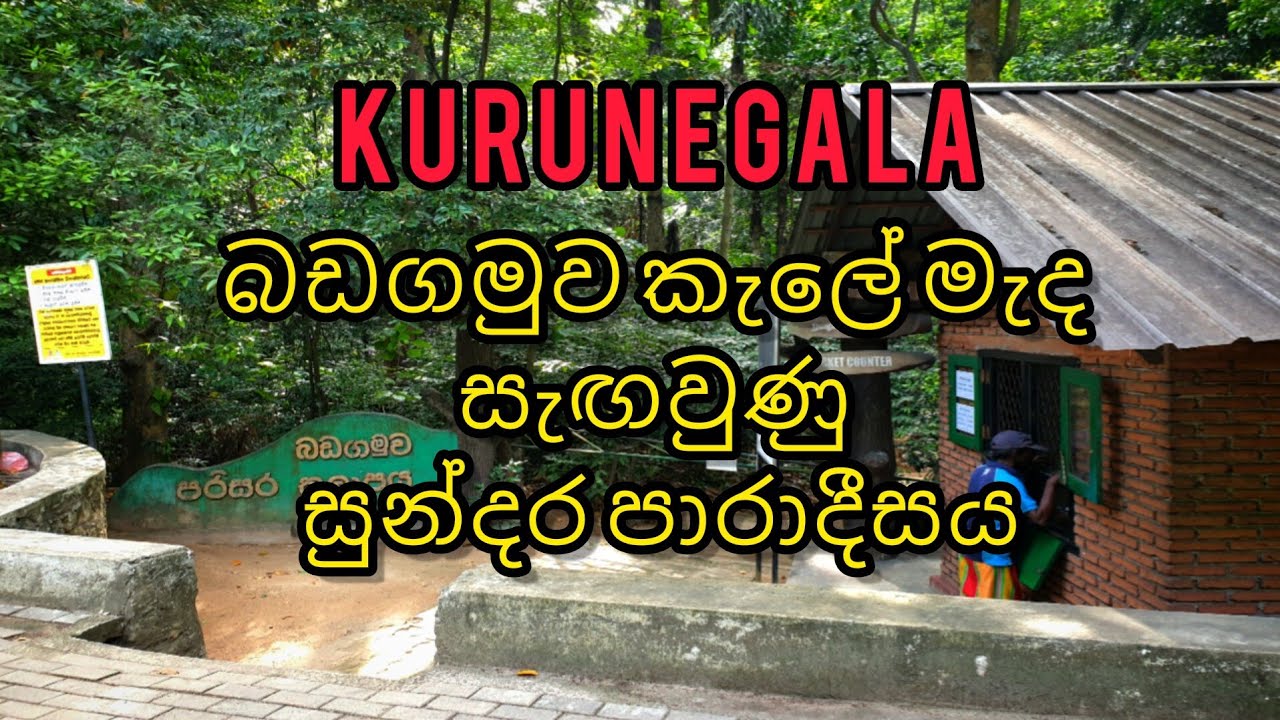 Kurunegala Badagamuwa Forest Srilanka #travelwithgaiya
