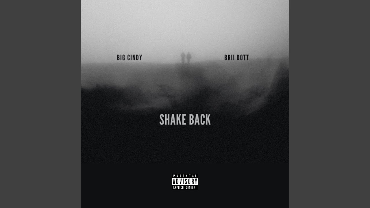 Shake Back (feat. BriiDott)