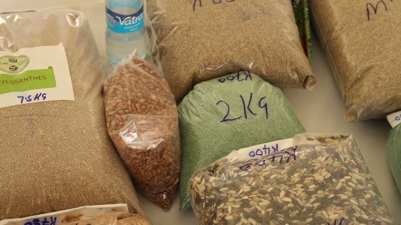 #zambia  :Building Climate Change Resilience among E SLIP Beneficiaries