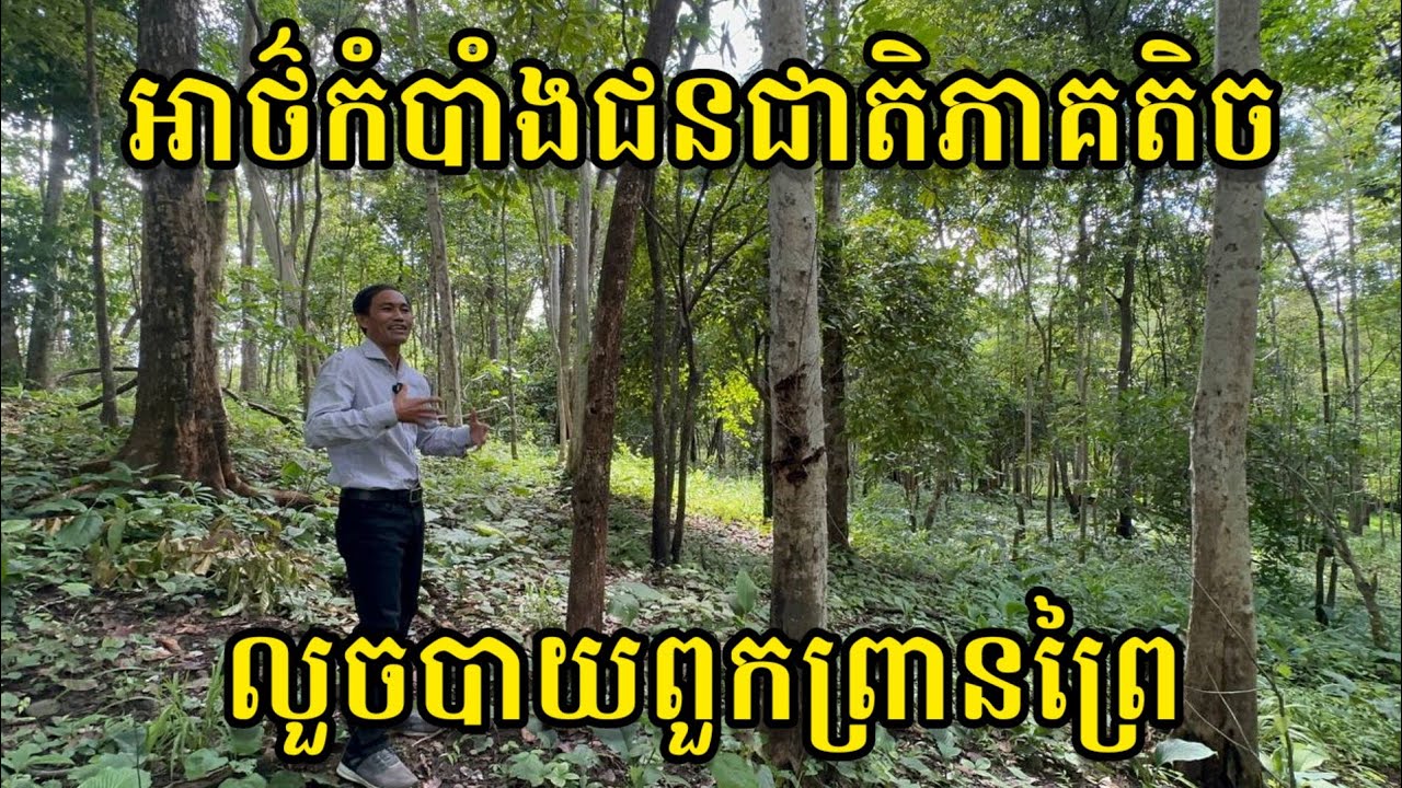 អាថ៌កំបាំង​ជនជាតិ​ភាគតិច​ លួចបាយពួកព្រានព្រៃ |Minorities steal steamed rice of hunters
