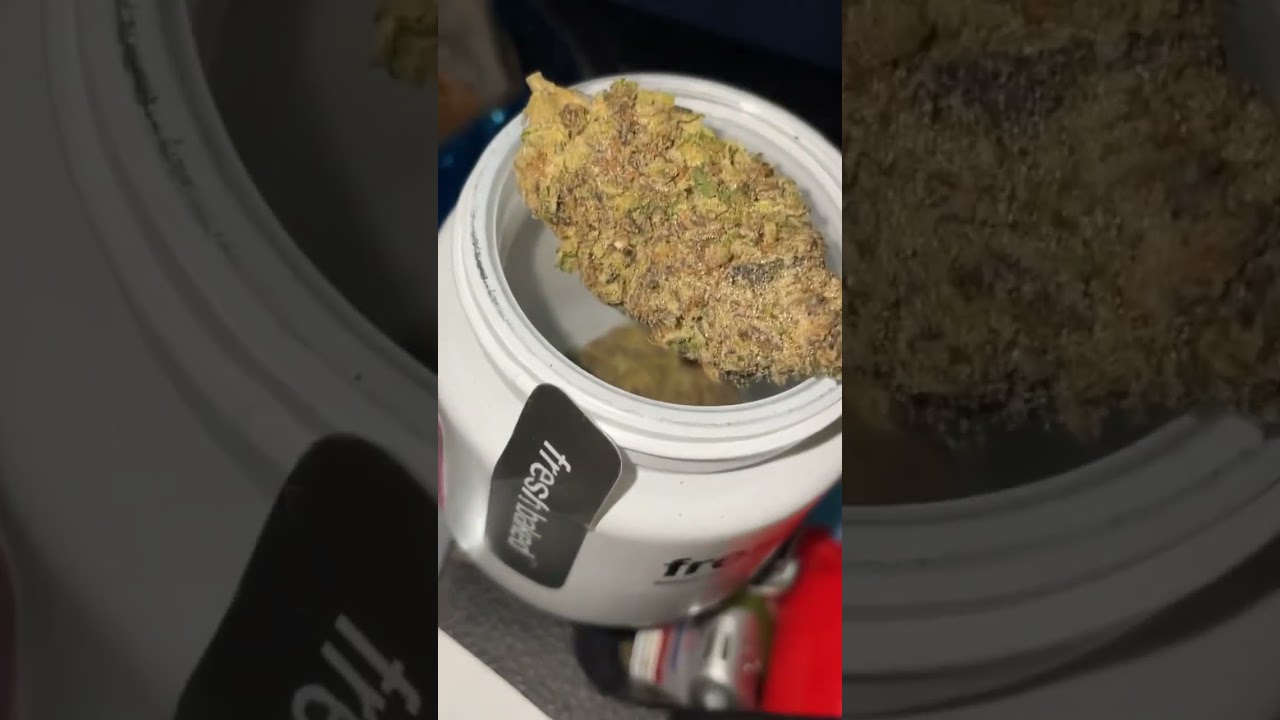 Fresh Baked #Cannabis #Weed #shorts