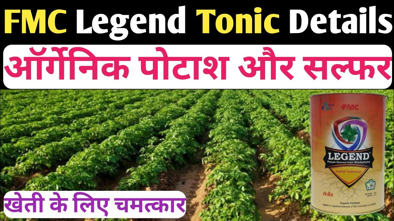 Fmc Legend Tonic Details/FMC Legend/Organic Potash/Sulphur/FMC Legend Details,Dose,Crops in Hindi