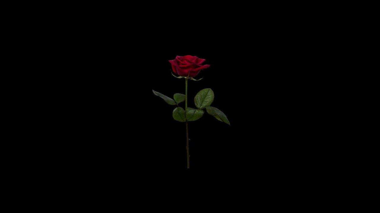 *FREE FOR PROFIT* Lil Peep Type Beat Remake 