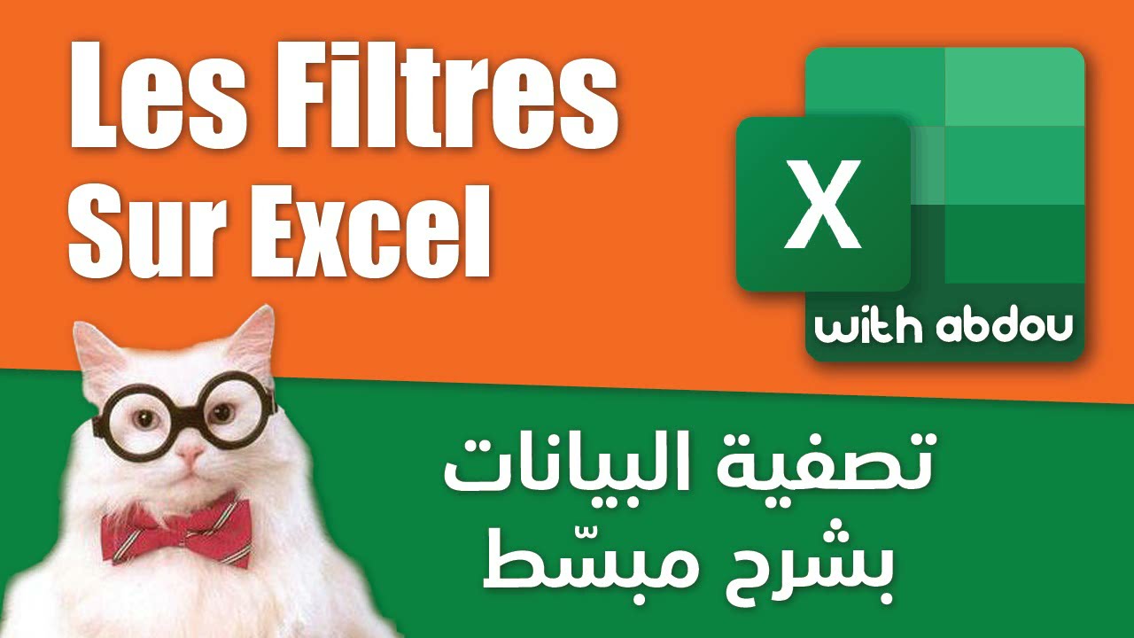 Les Filtres| Excel With Abdou | الدرس 18 - تصفية البيانات