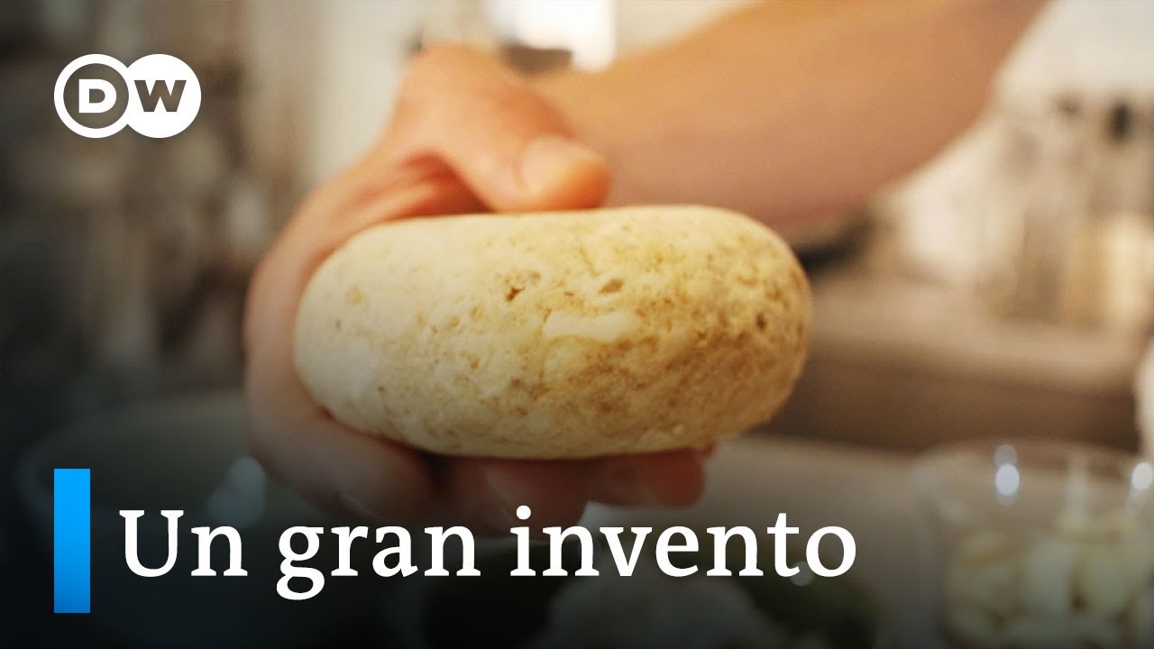 Cashewbert: un queso con leche de anacardos I SABOR SABER DW