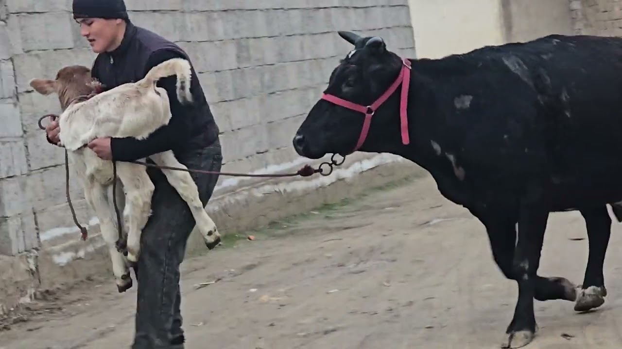 Стоп ⛔️ стоп ⛔️. 