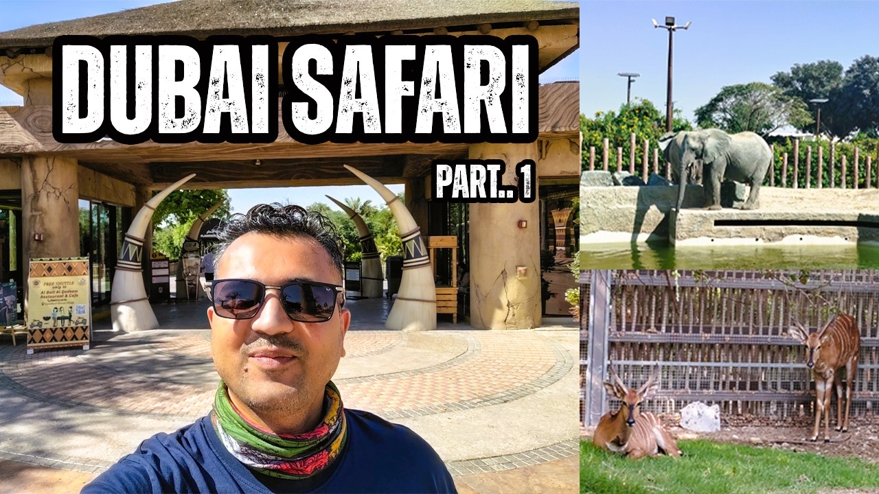 Dubai Safari Park Adventure 🦓 | Wildlife Exploration Vlog (Part 1)