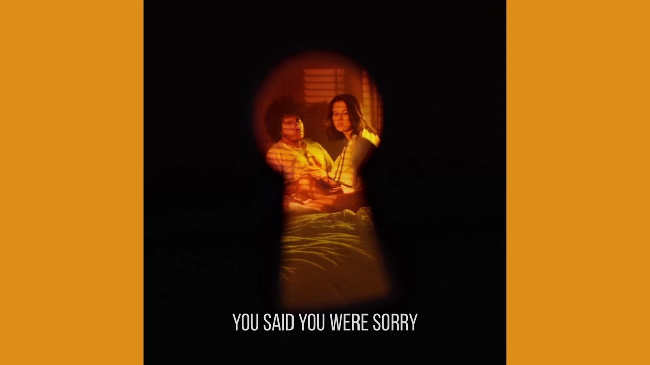 You said you were sorry Selena Gomez, Benny Blanco Acapella