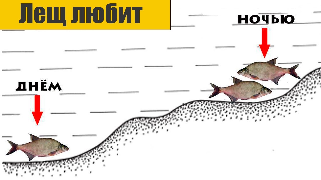 5 необычных секретов для успешной ловли Леща!