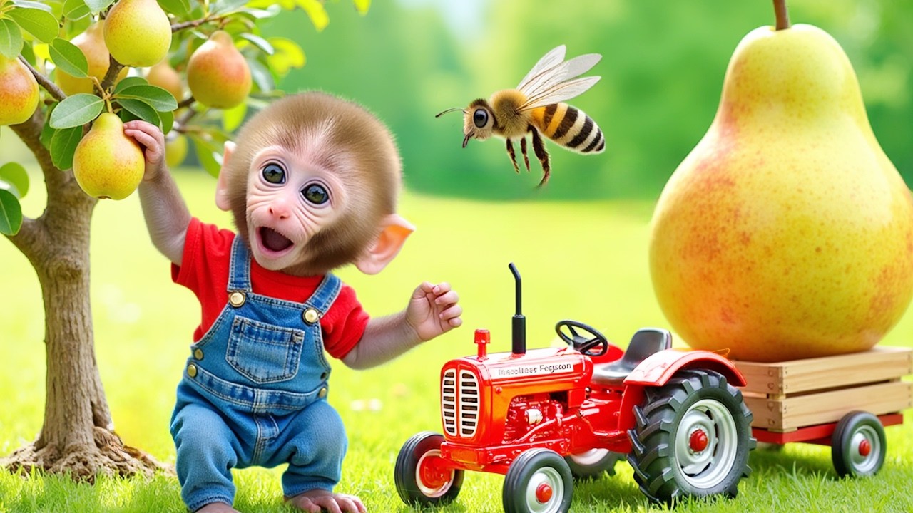 Monkey Nana Drives a Tractor : A Dramatic Journey From the Pear Field to a Delicious Pear Dish