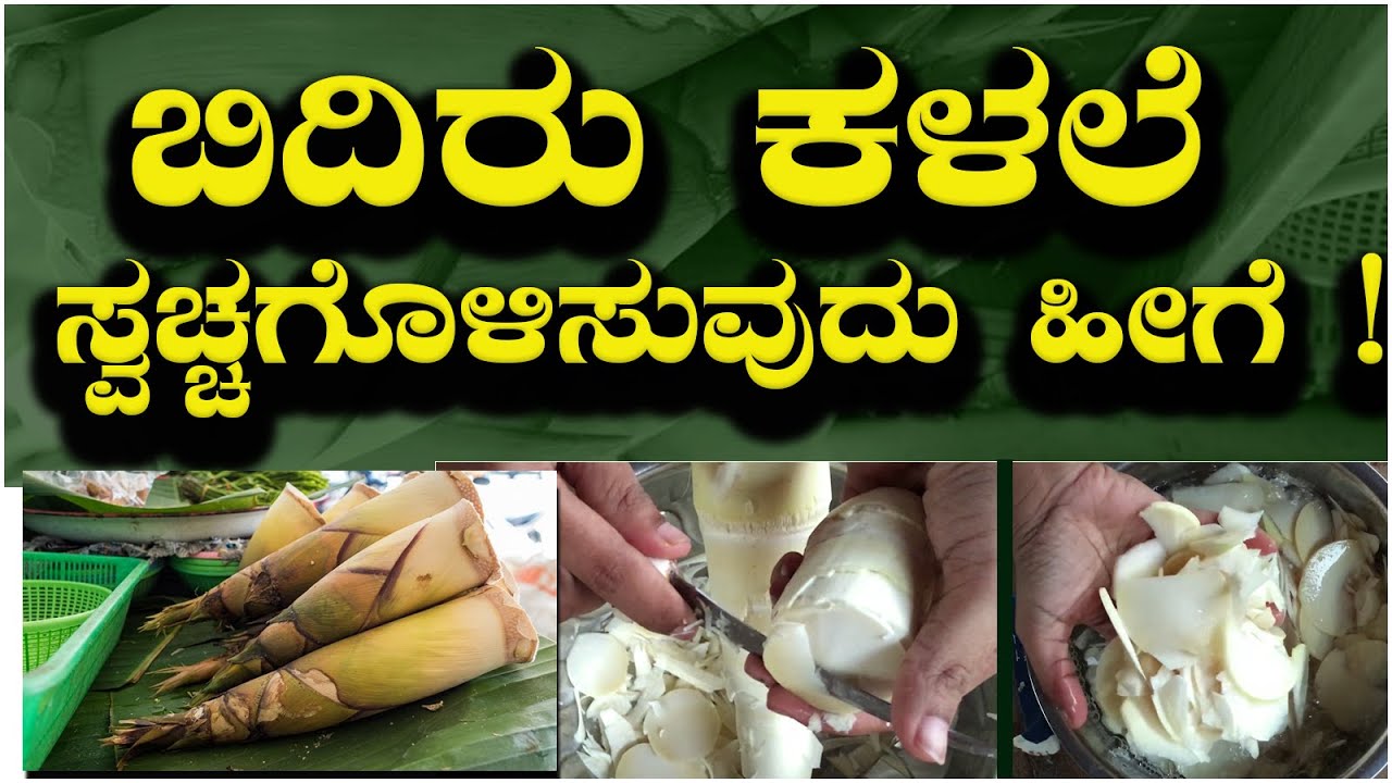 ಕಳಲೆ ಸ್ವಚ್ಛ ಮಾಡುವ ವಿಧಾನ | How to clean kalale |  Bamboo Shoots Cleaning in Kannada l Aduge Vishesha