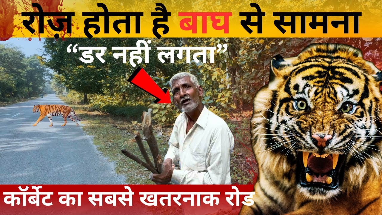 Jungle में यहाँ रोज़ होता है ज़िंदा मौत से सामना | Jim Corbett