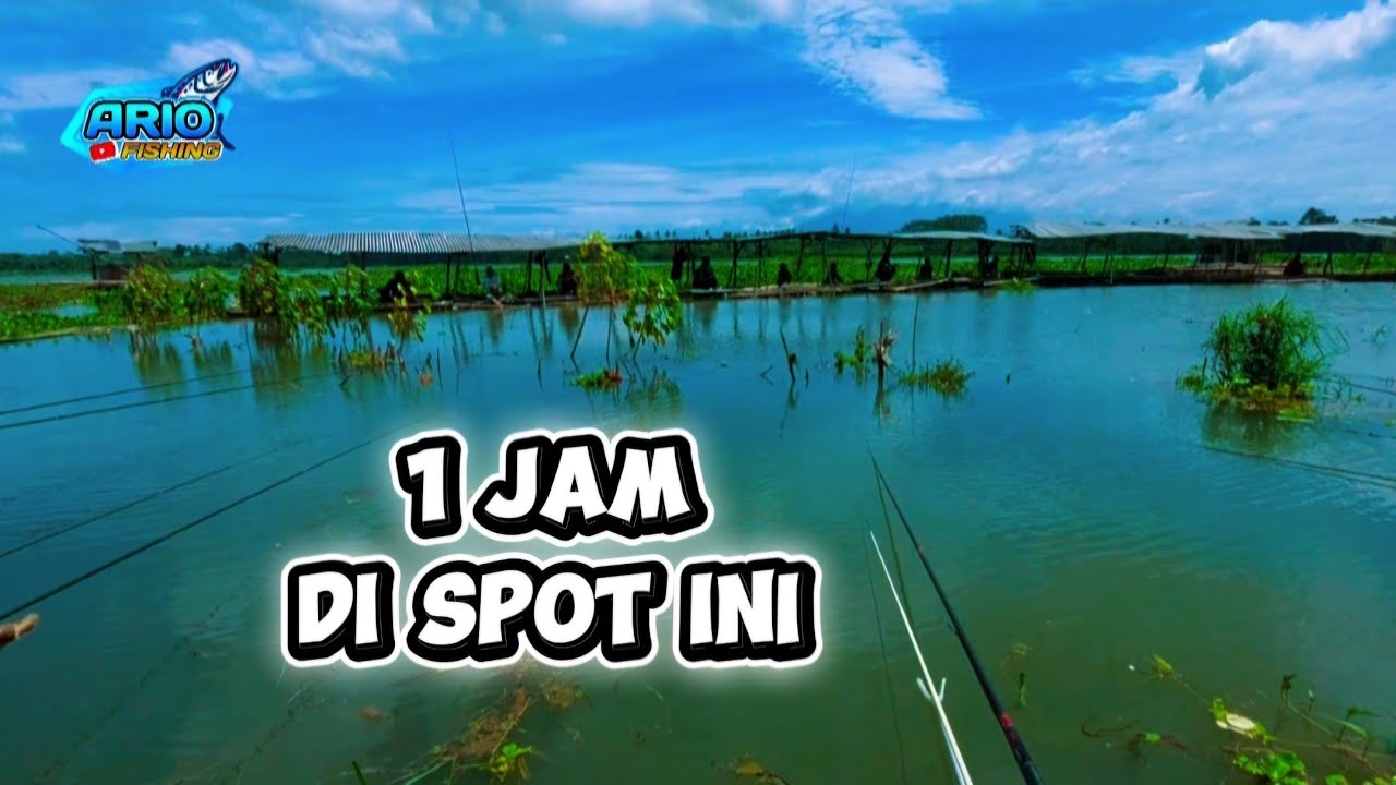 Liaran Asem Druju Pagak‼️ Waduk Karangkates Malang Jawa Timur Indonesia