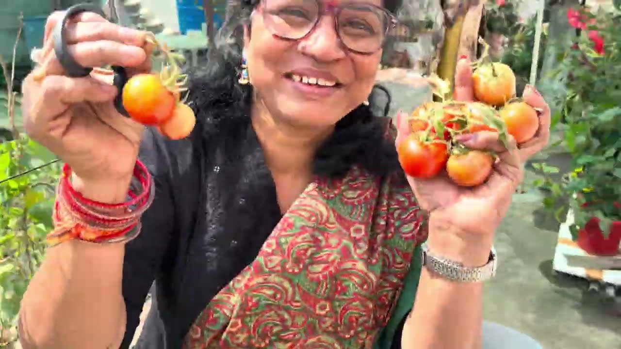 తోటలో నేను చేసిన పొరపాటు మీరు చేయకండి 😔🪴