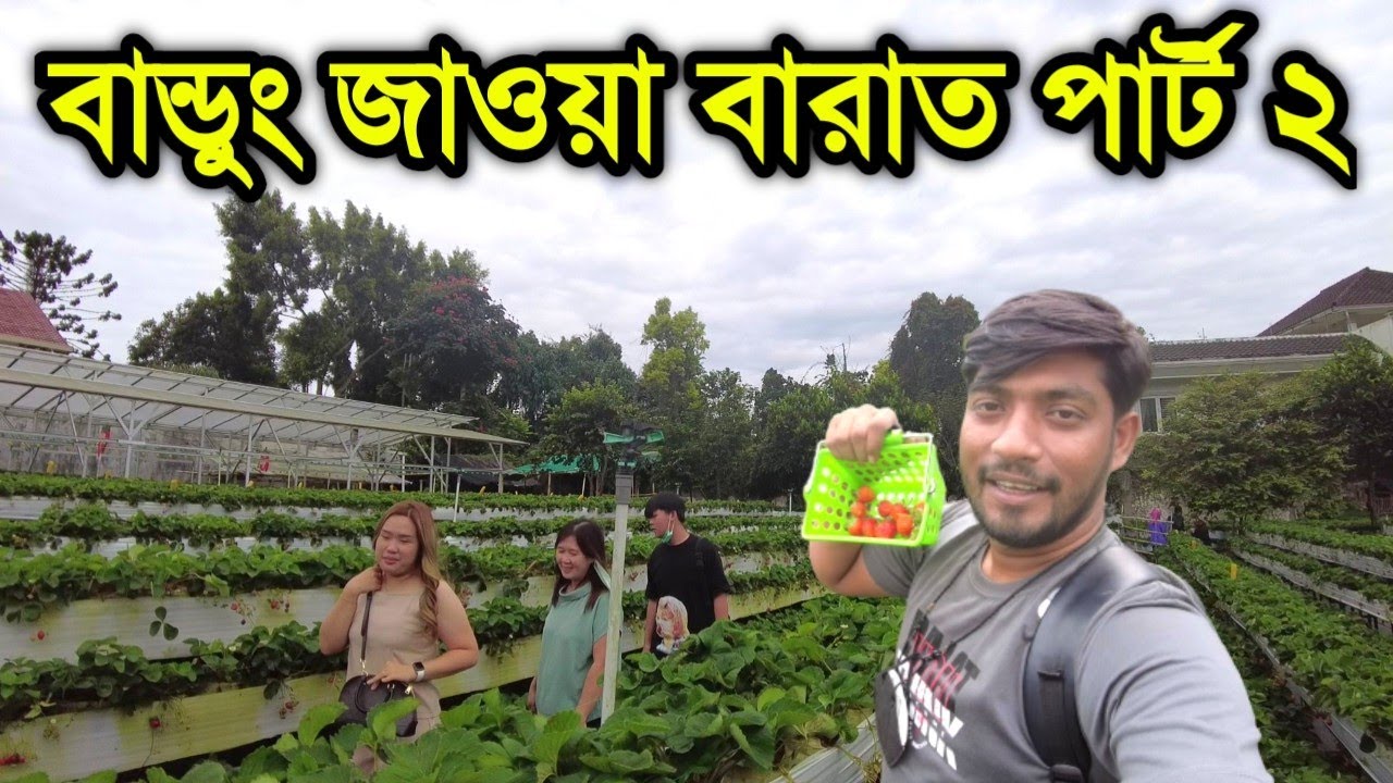 ইন্দোনেশিয়ার বান্ডুং এর গ্রামের ক্ষেত খামারে | Bandung, Lembang kota dingin | IndoBangla