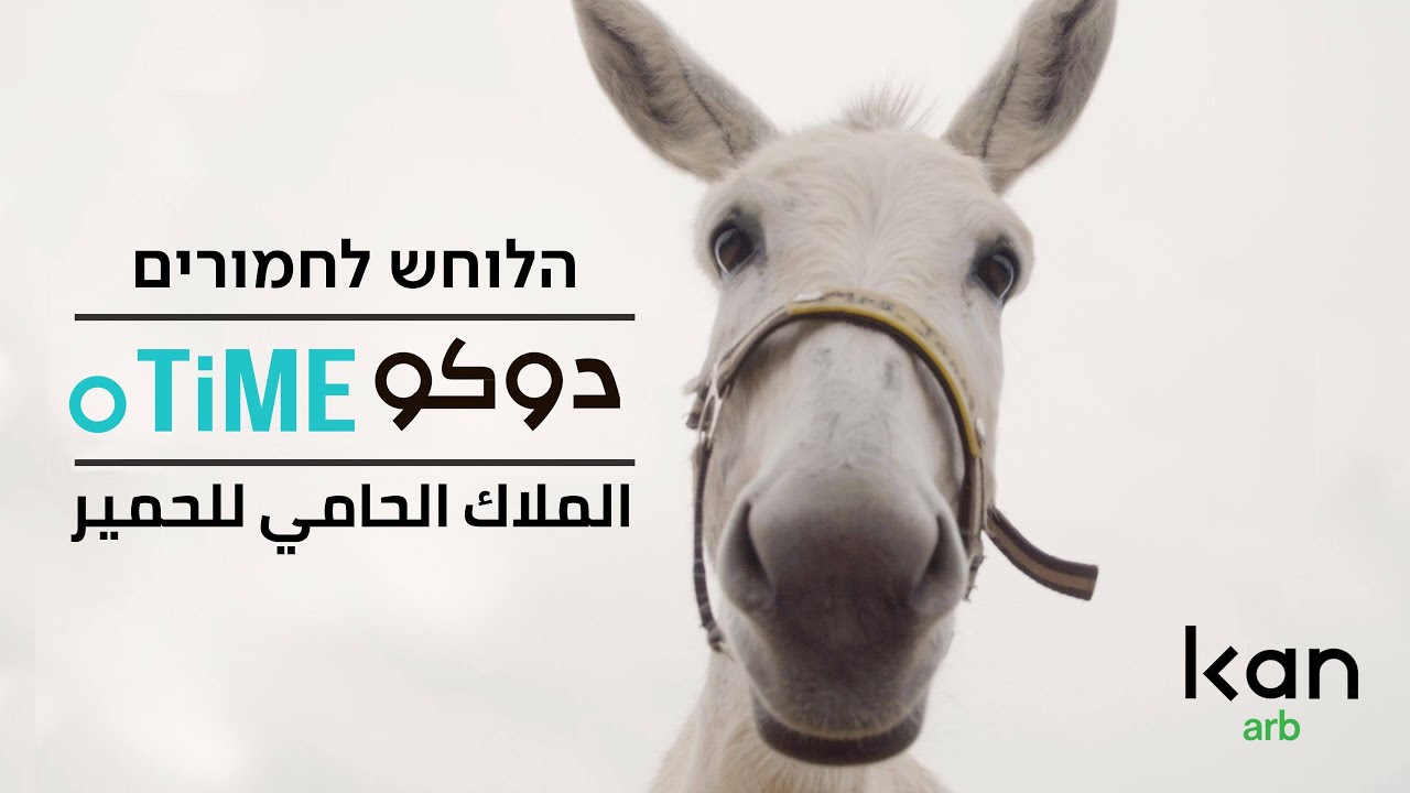 دوكوتايم: موسى سعودي - الملاك الحارس للحمير