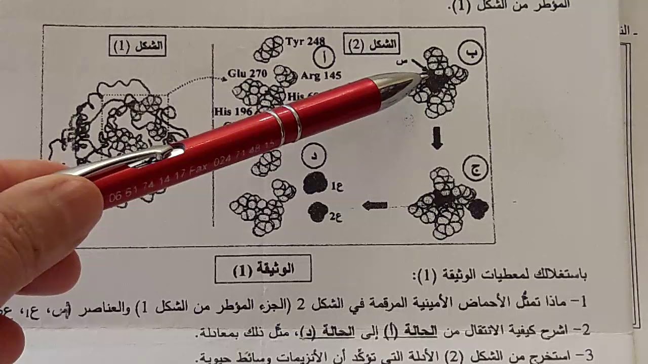 مراجعة الانزيم :مفهوم الانزيم والموقع الفعال والية عمل الانزيم