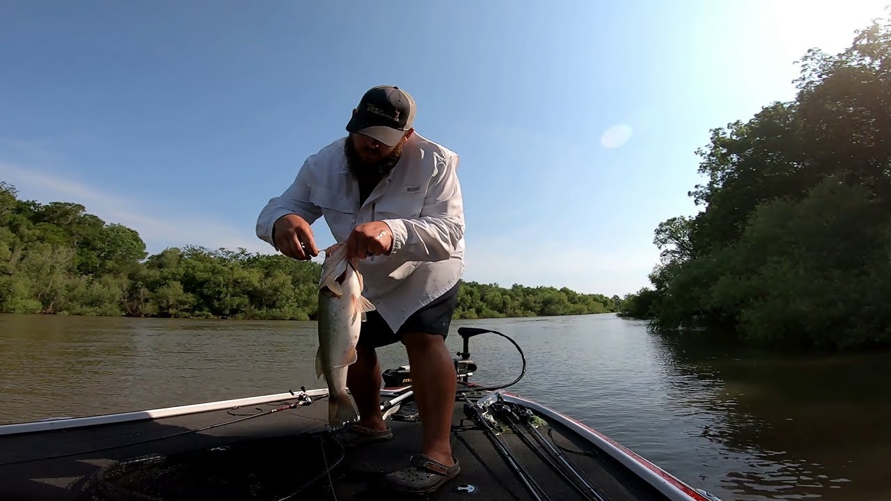 Bass Tournament Altamaha River !! 2022 Happy Fathers Day !!