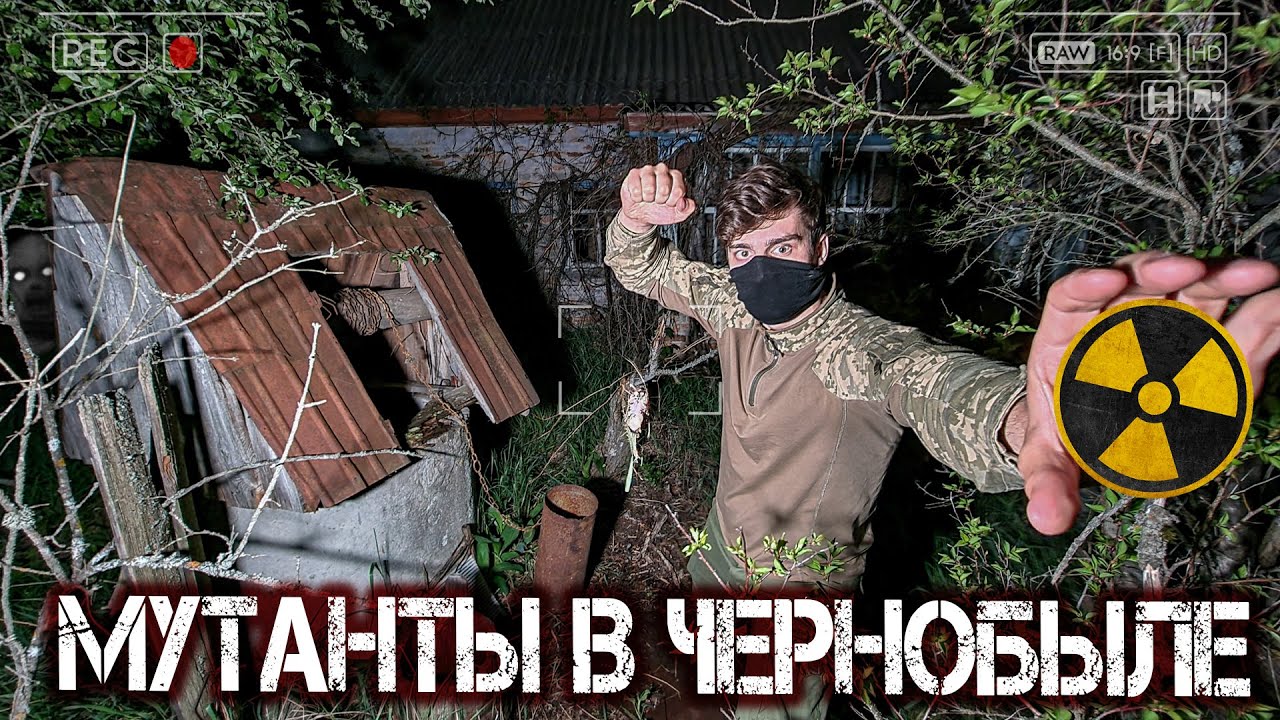 Охота на мутантов в Чернобыле. Оставил скрытые камеры в заброшенной деревне в Зоне Отчуждения