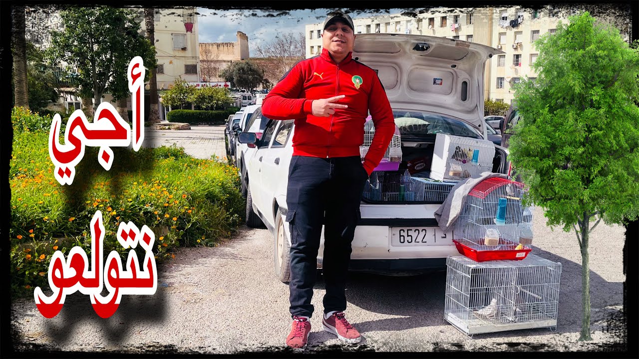 سوق طيور🦜 بمدينة مكناس 🇲🇦مرحبا بالجميع🤩 بتاريخ :8/3/2026الهاتف:0619227462