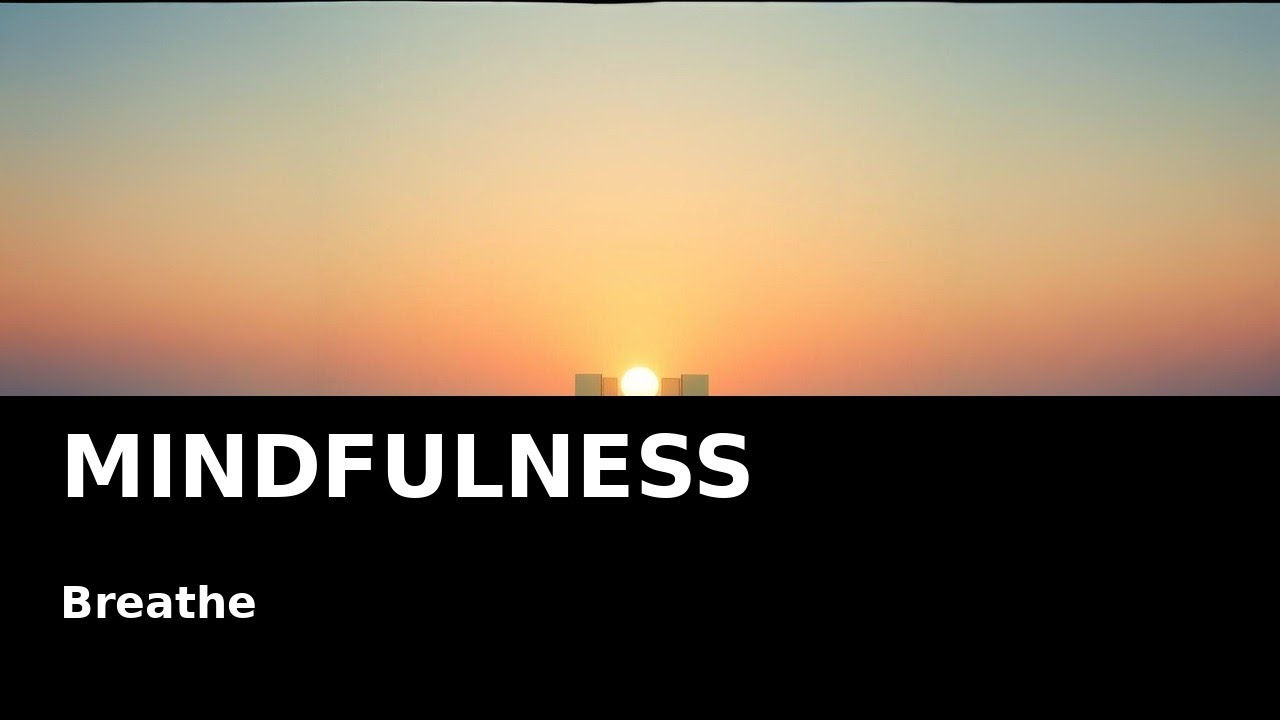 Mindfulness Music 🧘 | Unwind & Let Go | Insomnia Music Lab