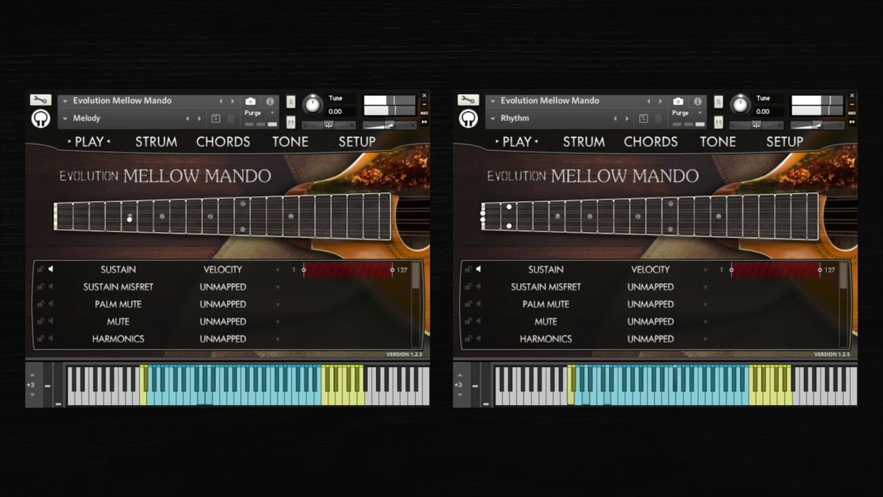 Evolution Mellow Mando - Mandolullaby