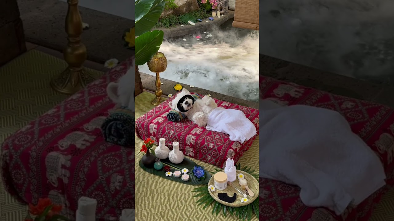 ASMR | Bai&rsquo;s Southeast Asian-Style Spa & Relaxation