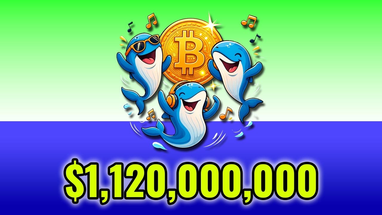 Bitcoin Whales Just Moved $1,120,000,000!🚨WHALE ALERT