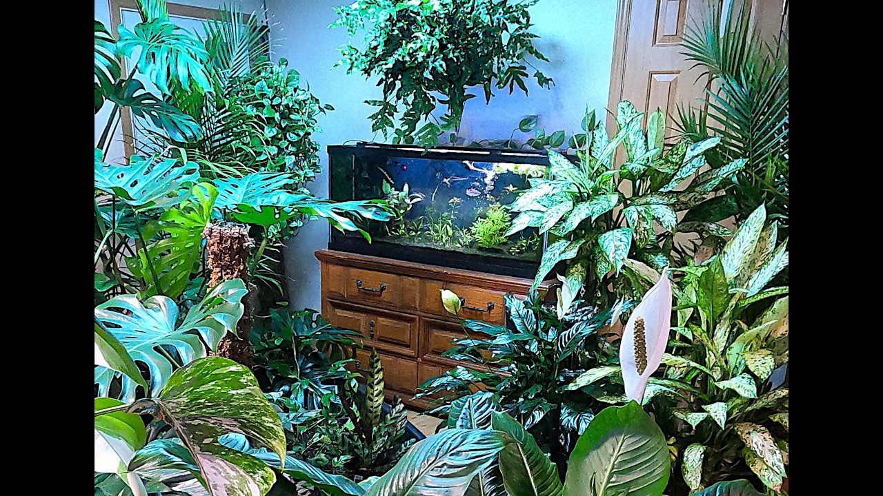 GOOD BY JUNGLE NOOK