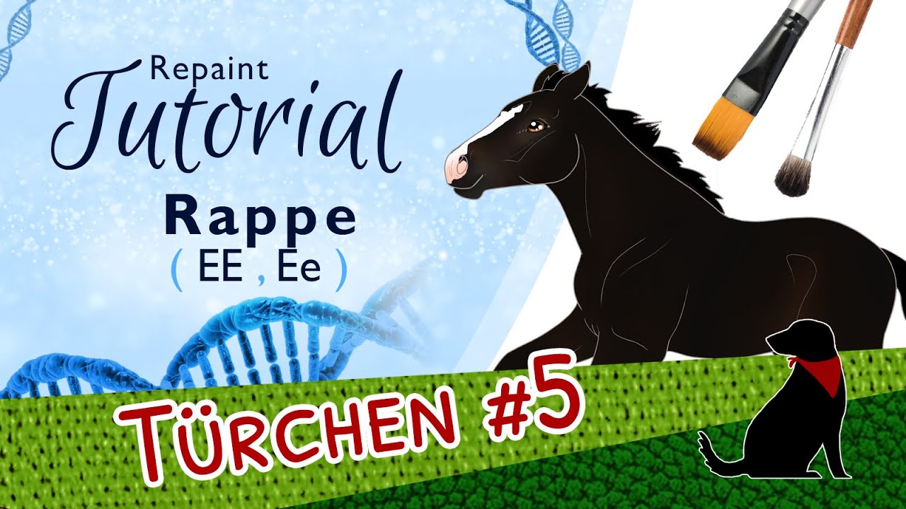 RAPPE REPAINT TUTORIAL (EE, Ee) mit Pastell - Pferdegenetik-Repaint-Kurs - Teil 2