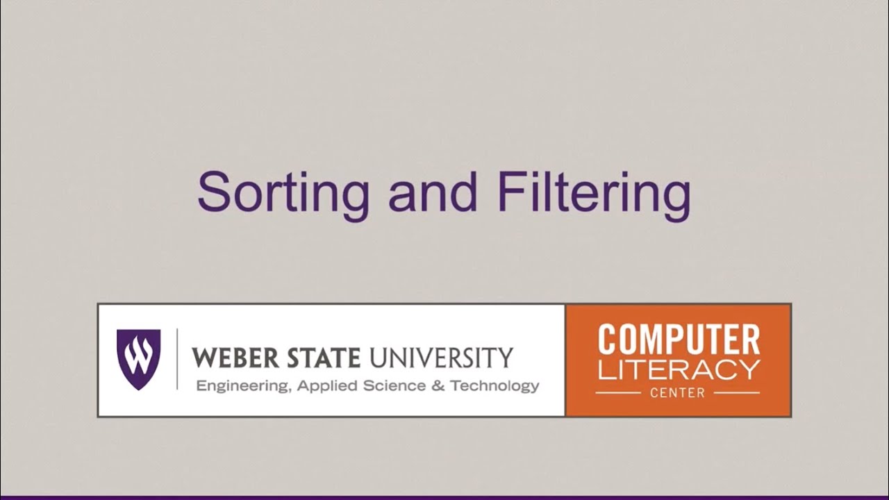 Sorting and Filtering Excel 2024